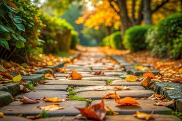 Wall Mural - Stone pathway lined with fallen autumn leaves in golden sunlight