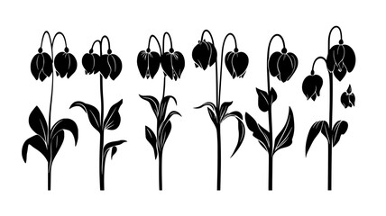 Wall Mural - Bleeding heart flowers in various stages of blooming, vector illustration art