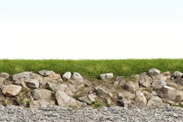 Canvas Print - Grass rock outdoors nature.