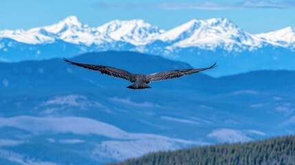 Sticker - A majestic bird soaring over snow-capped mountains and lush valleys.