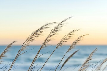 Fototapete - A soothing seaside scene with lush grass, warm sun tones, and soft shadows.