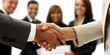 © Franklin - Professional Handshake with Team in Background
