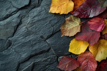 Wall Mural - colourful autumn leaves on the dark stone background as autumn concept - generative ai