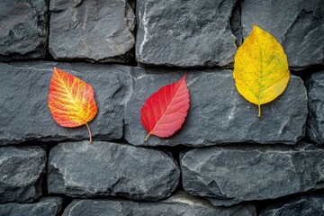 Wall Mural - colourful autumn leaves on the dark stone background as autumn concept - generative ai