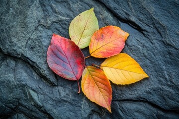 Wall Mural - colourful autumn leaves on the dark stone background as autumn concept - generative ai