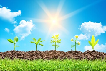 Green Plant Growth Stages In Soil And Grass Against Blue Sky