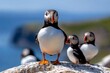 © Thanyarat - Family of puffins standing on rocky cliffs, facing the sea breeze