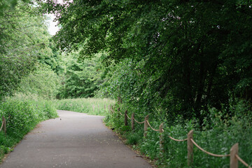 A green path in the park 