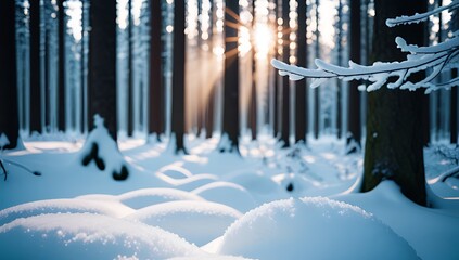 beautiful snowy forest scene abstract shiny light background