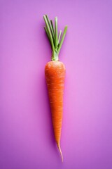 Canvas Print - Carrot on purple background