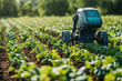 © Top AI images - Autonomous farming robot tending crops in green field, smart agriculture technology concept