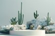 © Vii - Desert Platform with Cacti and Rocks