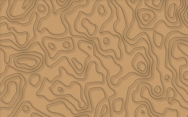 Vector topographic map background. Business concept. Abstract vector illustration.