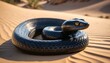 © Nata - Black snake coiled on sandy desert ground with detailed scales, wildlife photography