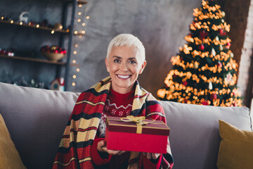 Poster - Photo of nice aged woman sit couch hold giftbox wear sweater christmas festive holiday apartment indoors