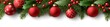 © typepng - Christmas tree twigs and decorated cones in a festive garland with snowberries isolated on transparent or white backgrounds