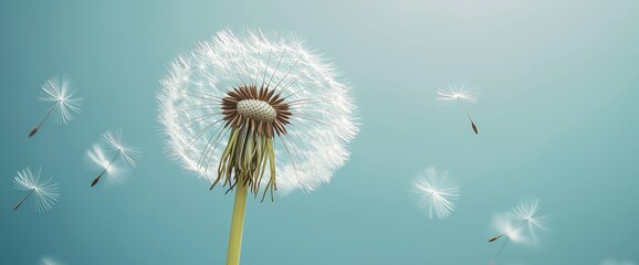 Wall Mural - dandelions blowing in the wind