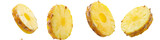 Sliced pineapple ring with skin intact isolated on transparent background