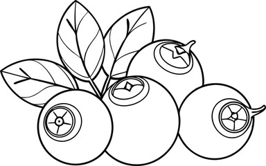 Blueberries in continuous line art drawing style, illustration on white background.