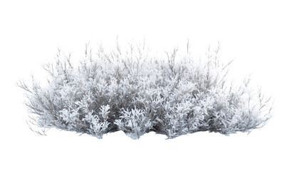 winter frosty bush, isolated on transparent background