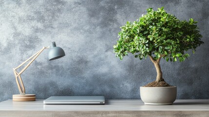 Poster - A desk with a laptop and a potted plant