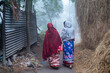 © Susmit - South asian rural women are walking in a village road in a foggy winter morning