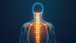 © Intelligent Horizons - Radiant human skeleton silhouette with glowing bones absorbing essential nutrients from calcium supplements and dairy products representing strong bones health and wellbeing