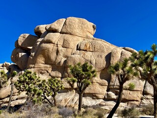 Rocky Landscape