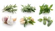 © Farid - garlic and herbs on white background.