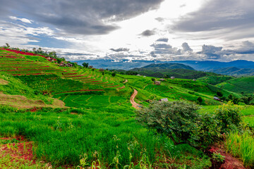 Wallpaper from the top of the mountain, overlooking the panorama, with the wind blowing all the time, fresh air, is a viewpoint that adventurers regularly visit.