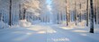 © Nattapat - Beautifully serene winter wonderland with snowblanketed trees in a tranquil forest setting, ideal for magical nature photography during seasonal themes