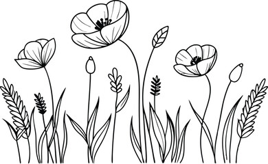 Continuous Line Art Poppy Flowers and Grass Doodle Border in Minimalist Black Design, illustration on white background