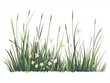 2408 22.A detailed flat vector illustration of green grass with tall, thin blades and scattered flowers in soft pinks, whites, and yellows. The minimalist design captures the beauty of nature in its
