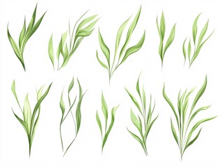  2408 60.A vector illustration featuring a set of green grass blades in flat style, with soft curves and sharp edges. The blades are arranged in different heights, forming a playful and dynamic