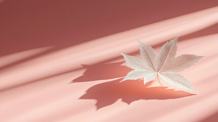 Poster - A delicate white leaf casts a shadow on a soft pink background, creating a serene aesthetic.