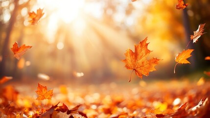 Canvas Print - A serene autumn scene with falling leaves illuminated by sunlight.