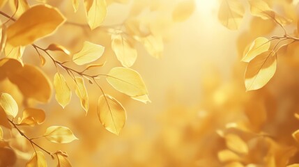 Poster - Golden leaves illuminated by sunlight, creating a warm and serene autumn atmosphere.