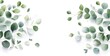 © BerkahStock - A minimalist arrangement of green leaves on a white background for a fresh aesthetic.