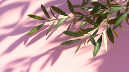 Poster - A branch with green leaves casting shadows on a soft pink background.