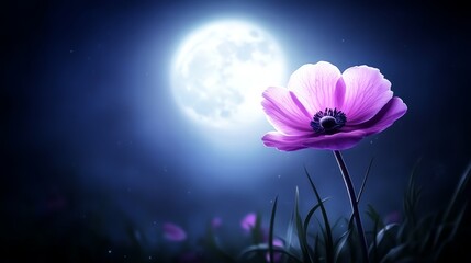 Sticker -  A purple bloom sits in a field's expanse, under a full moon's backdrop