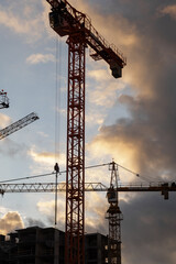 Poster - Cranes are actively working at a construction site, silhouetted against a colorful evening sky as sunlight fades