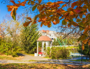 Landscape of the public park of the city of Khabarovsk. Golden autumn.