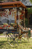 Charming and Inviting Outdoor Market Display Featuring a Beautiful Collection of Dried Plants