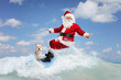 © Ljupco Smokovski - Santa claus with a dog riding a surfboard
