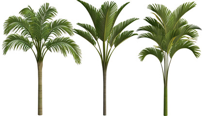 Collection of Palm Trees Isolated on a Transparent Background Generative AI