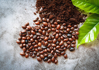 Wall Mural - Aromatic Roasted Coffee Beans and Ground coffee, green coffee leaf on gray background