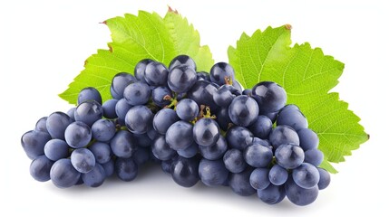 Vibrant Blue Grapes: Freshness Encapsulated in a Wholesome Design