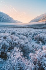 Poster - A snow-covered field with mountains in the background