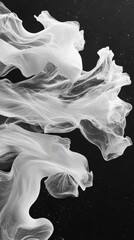 Canvas Print - White smoke is swirling against a black background, creating a variety of abstract shapes and patterns. The contrast between the light and dark colors creates a visually striking image