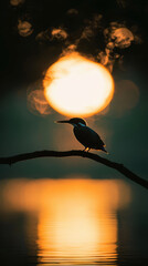 Wall Mural - serene silhouette of kingfisher perched on branch against glowing sunset, reflecting beautifully on waters surface, creating tranquil atmosphere